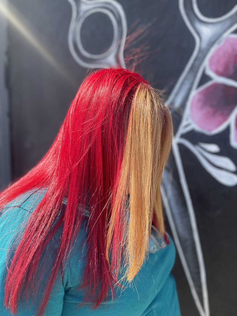Juan's Barber Shop & Beauty Salon, beauty salon in Camden, NJ, photo 3 of 10
